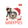 Berger australien Joyeux Noël