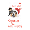 Berger australien Joyeux Noël