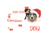 Australian Shepherd Merry Christmas