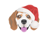Beagle Joyeux Noël