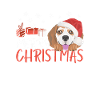Beagle Joyeux Noël