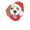 Beagle Merry Christmas