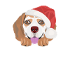Beagle Merry Christmas