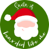 Santa is bearded like me