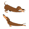 Cute Stretching Sausage Dog Dachshund