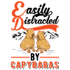 Easily distracted by Capybaras