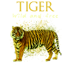 Tigre sauvage et libre