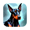 Doberman
