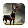 Dobermann