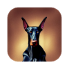 Doberman