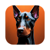 Doberman