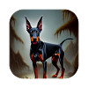 Doberman