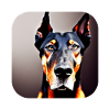 Doberman