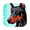 Doberman