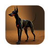 Doberman