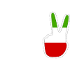 Jin jiyan azadi زن زندگی آزادی