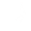 Basketball heartbeat