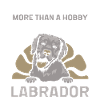 Labrador