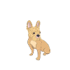 Français Bulldog Grandma Frenchie Hundeliebha