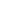 Silken Windhound Dog Evolution Dog Owner