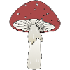 Fliegenpilz
