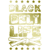 Black Belt Martial Arts