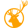 Cerf