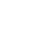 Salzburg Eagle