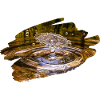 Waterdrop