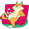Happy cat drinks wine