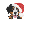 Bernese Mountain Dog Merry Christmas