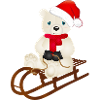 enchanting polar bear while sledging