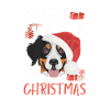 Bouvier Bernois Joyeux Noël