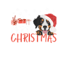 Bouvier Bernois Joyeux Noël