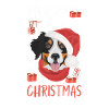 Bouvier Bernois Joyeux Noël