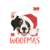 Bernese Mountain Dog Merry Christmas