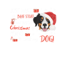 Bouvier Bernois Joyeux Noël