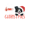 Border Collie Merry Christmas