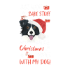 Border Collie Merry Christmas