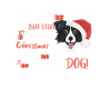 Border Collie Merry Christmas