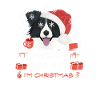 Border Collie Weihnachtsmarkt