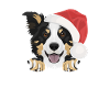 Border Collie Merry Christmas