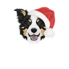 Border Collie Merry Christmas
