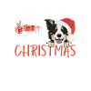 Border Collie Merry Christmas