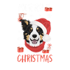 Border Collie God Jul