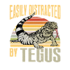 Tegu Lizard Reptile Herpetologist