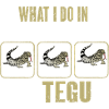 Lézard Tegu Herpétologiste