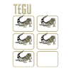Tegu Lizard Reptile Herpetologist