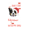 Border Collie Merry Christmas