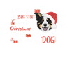 Border Collie Frohe Weihnachten
